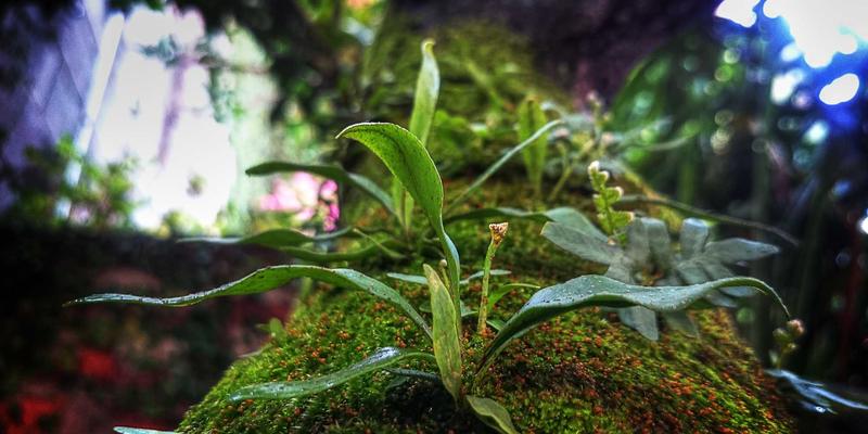 佛山功夫文化深度体验：探访叶问纪念馆，学习咏春拳基础招式 | 广东景点与美食全攻略