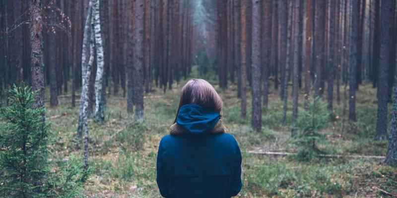 广东开平碉楼与村落深度游：探寻世界文化遗产背后的华侨传奇与建筑艺术