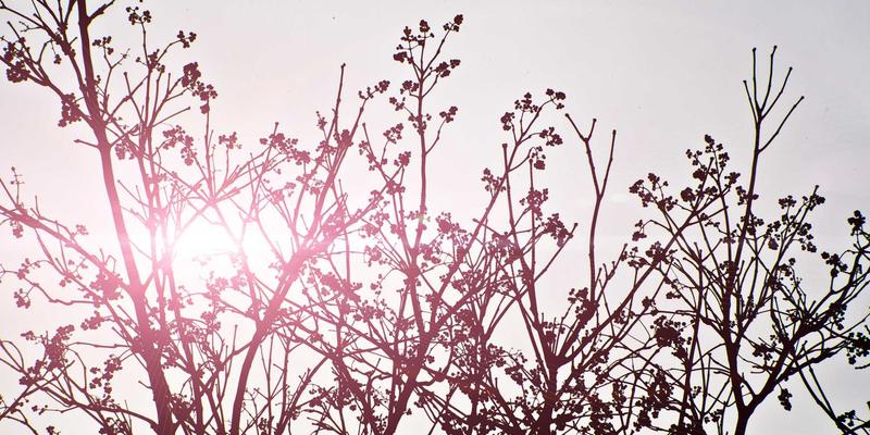 广东攻略：探秘清远连州地下河与瑶寨风情，喀斯特溶洞探险与少数民族文化体验全指南