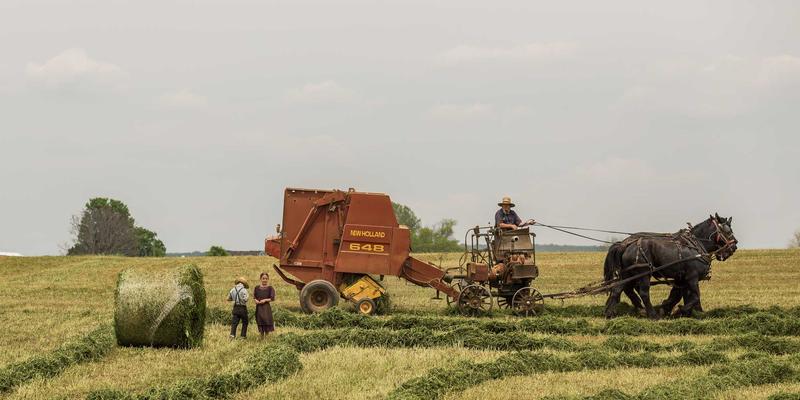 广东攻略：深圳大鹏所城与较场尾海滩，穿越明清海防古城，体验文艺民宿聚落