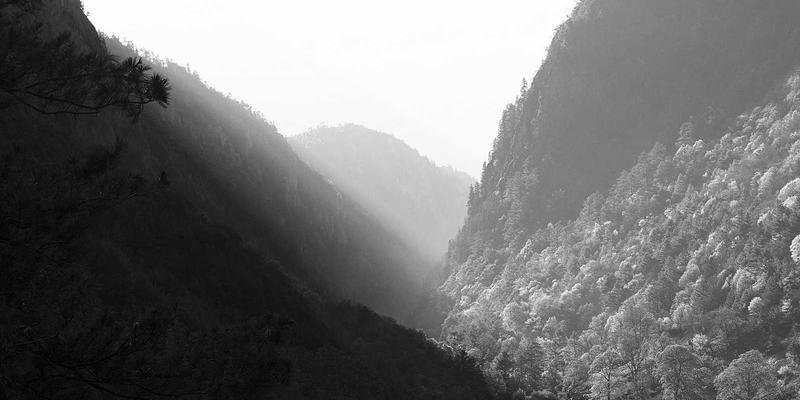 广东旅游24小时漫游指南：解锁岭南生活服务与必访景点的深度体验