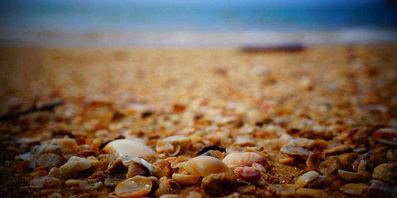 广东旅游91：探索岭南风情，解锁便捷生活服务新体验