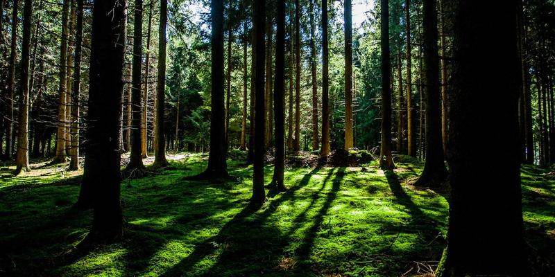 广东旅游全攻略：解锁岭南风情，品味舌尖上的粤味之旅
