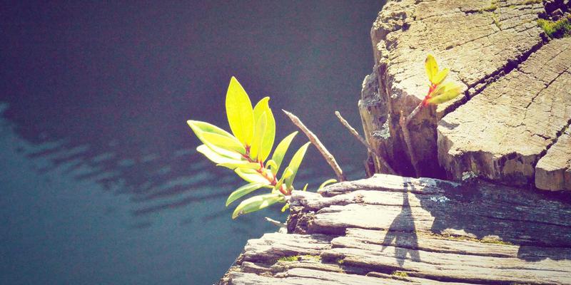 广东旅游全攻略：解锁岭南风情，品味舌尖上的美食盛宴