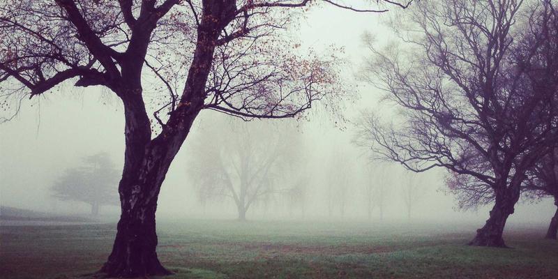 广东自驾游经典线路推荐：探秘粤北丹霞山与南华禅寺的山水人文之旅