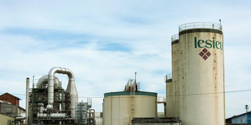 广州沙湾古镇非遗体验游全攻略：沉浸广东音乐、飘色与姜撞奶制作工坊