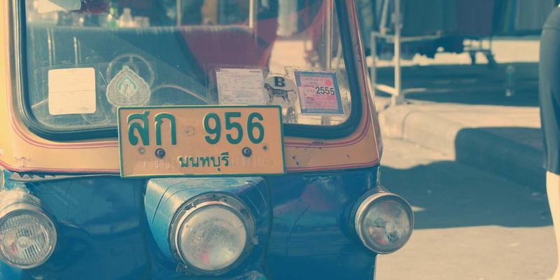 肇庆星湖国家湿地公园生态之旅：观鸟赏荷与丹顶鹤科普研学全攻略