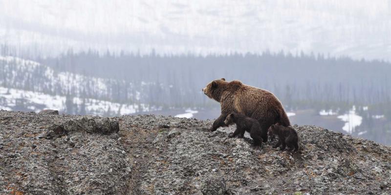 茂名放鸡岛潜水全攻略：探索广东知名潜水胜地与海上游乐项目，附美食住宿指南